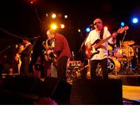 Portrait of Average White Band