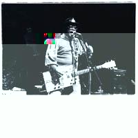 Portrait of Bo Diddley