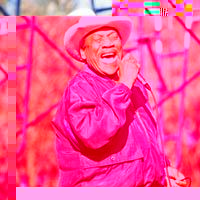 Portrait of Bobby Bland