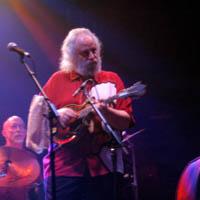 Portrait of David Grisman