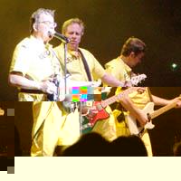 Portrait of Devo