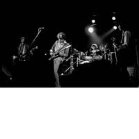 Portrait of Dire Straits