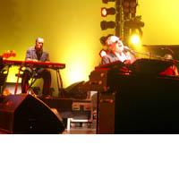 Portrait of Donald Fagen