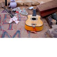 Portrait of Gram Parsons