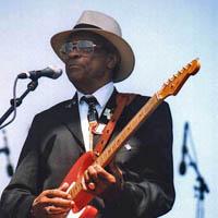 Portrait of Hubert Sumlin