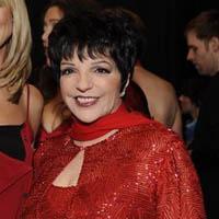Portrait of Liza Minnelli