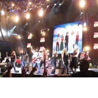 Portrait of Lynyrd Skynyrd
