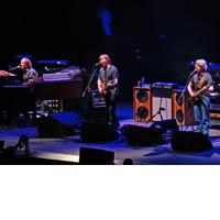 Portrait of Phish