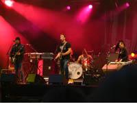 Portrait of Queens of the Stone Age