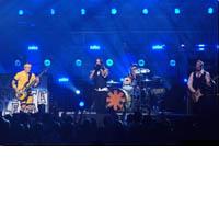 Portrait of Red Hot Chili Peppers
