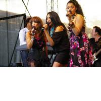 Portrait of Sister Sledge