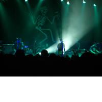 Portrait of Social Distortion