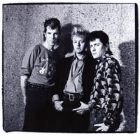 Portrait of Stray Cats