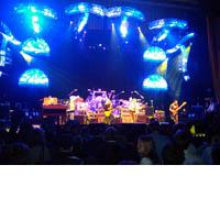 Portrait of The Allman Brothers Band
