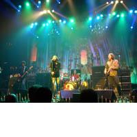 Portrait of The Black Crowes