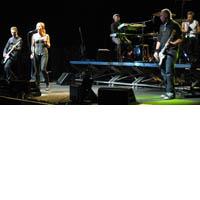 Portrait of The Cardigans