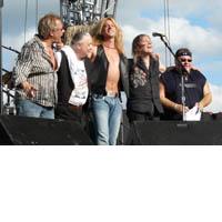 Portrait of The Guess Who