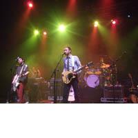 Portrait of The Shins