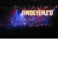 Portrait of Third Eye Blind