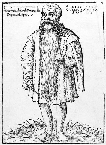 Portrait of Adrianus Petit Coclico
