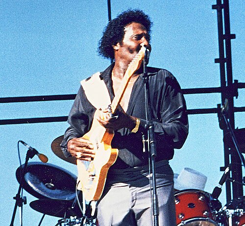 Portrait of Albert Collins