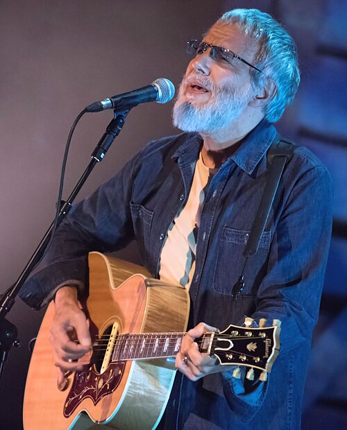 Portrait of Cat Stevens