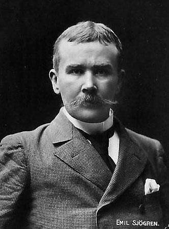Portrait of Emil Sjögren
