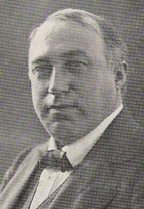Portrait of Fini Henriques