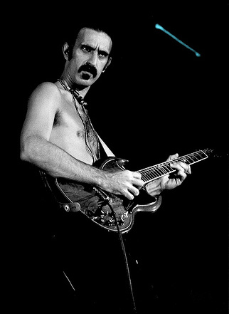 Portrait of Frank Zappa