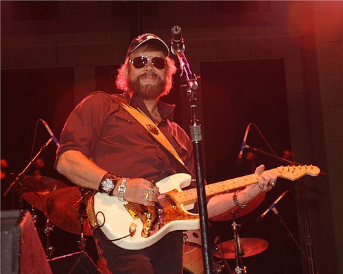 Portrait of Hank Williams Jr.