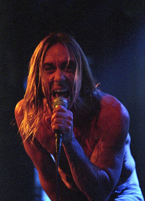 Portrait of Iggy Pop
