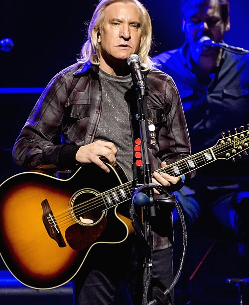Portrait of Joe Walsh
