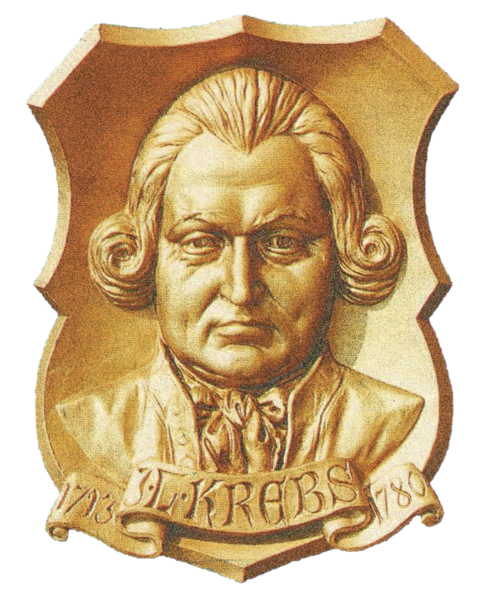 Portrait of Johann Ludwig Krebs