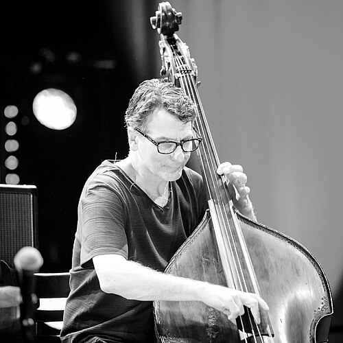 Portrait of John Patitucci