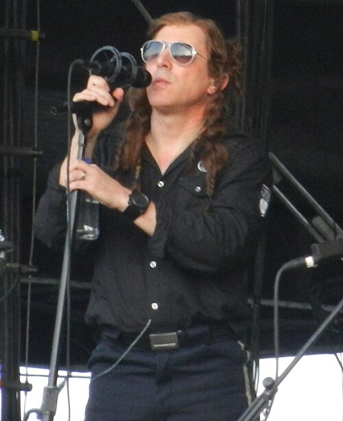 Portrait of Maynard James Keenan