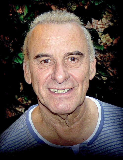 Portrait of Michel Fugain