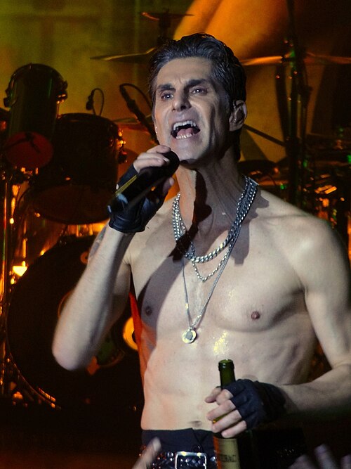 Portrait of Perry Farrell