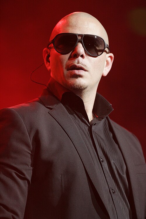 Portrait of Pitbull