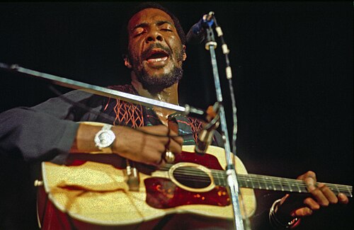 Portrait of Richie Havens