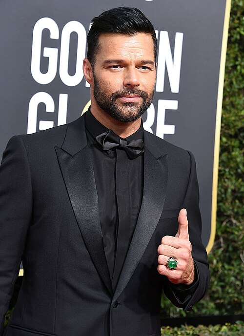Portrait of Ricky Martin