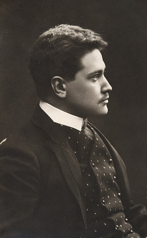 Portrait of Selim Palmgren