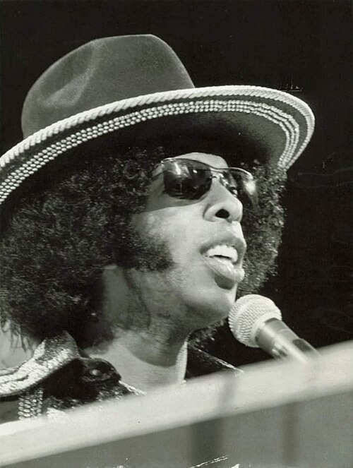 Portrait of Sly Stone