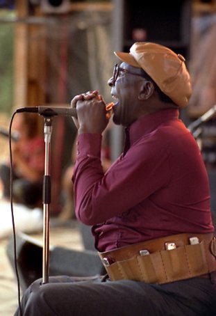 Portrait of Sonny Terry