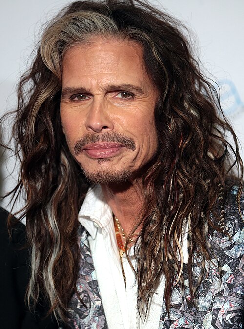 Portrait of Steven Tyler