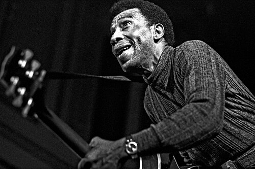 Portrait of T-Bone Walker