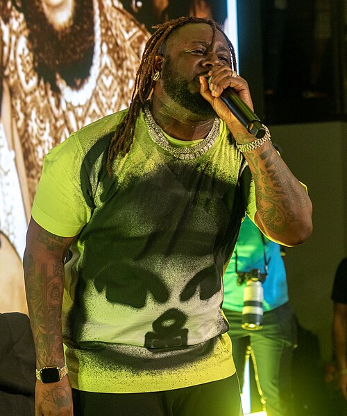 Portrait of T-Pain