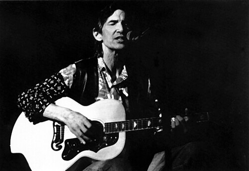Portrait of Townes Van Zandt