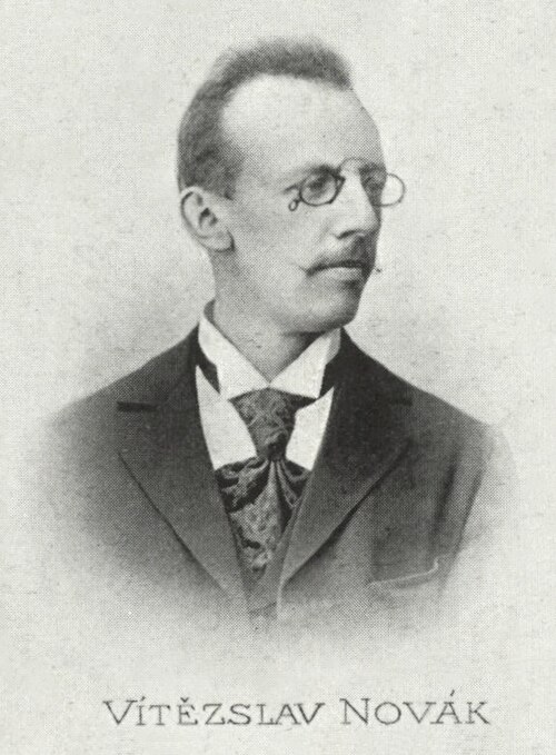 Portrait of Vitezslav Novak